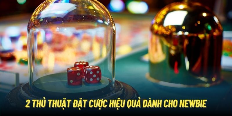 Tìm hiểu khái quát game cược Tài Xỉu