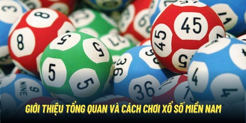 Giới thiệu tổng quan và cách chơi xổ số miền Nam