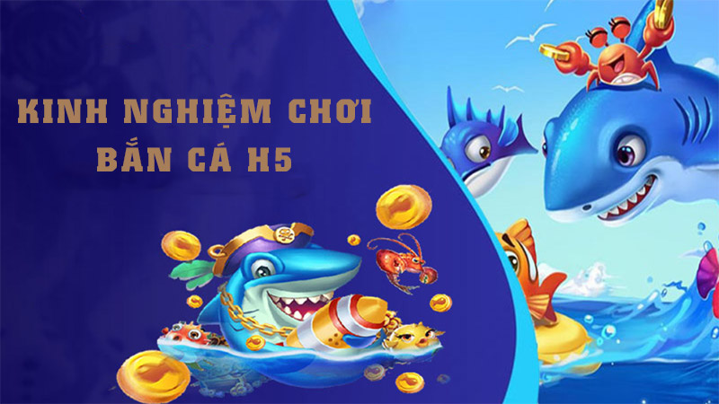 Kinh nghiệm chơi từ đội thợ lặn siêu cấp 23win